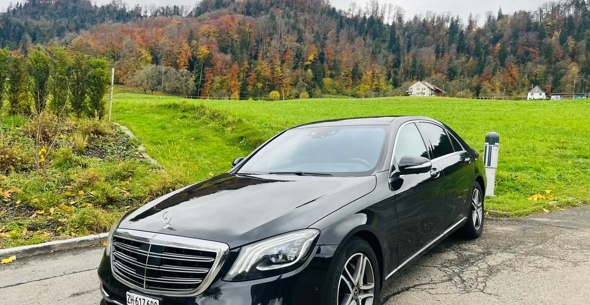 Mercedes-Benz S-Klasse in herbstlicher Landschaft